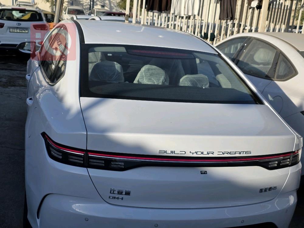 بي واي دي ديستروير 05